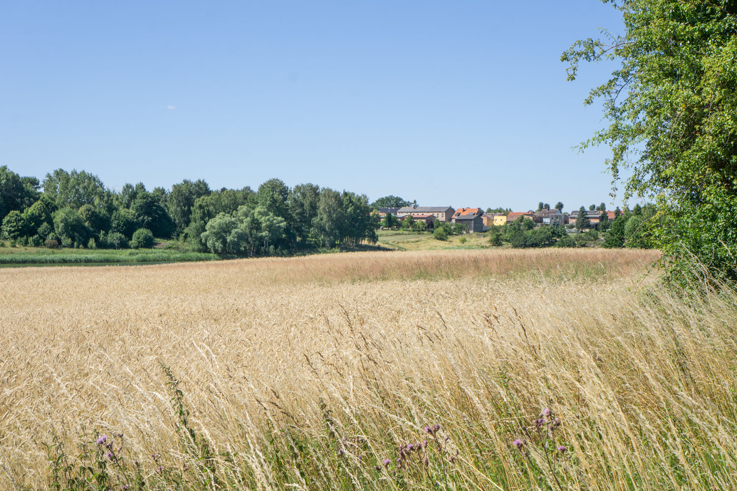 DIU_Uckermark_Feld-Beige-Haeuser_DSC5395