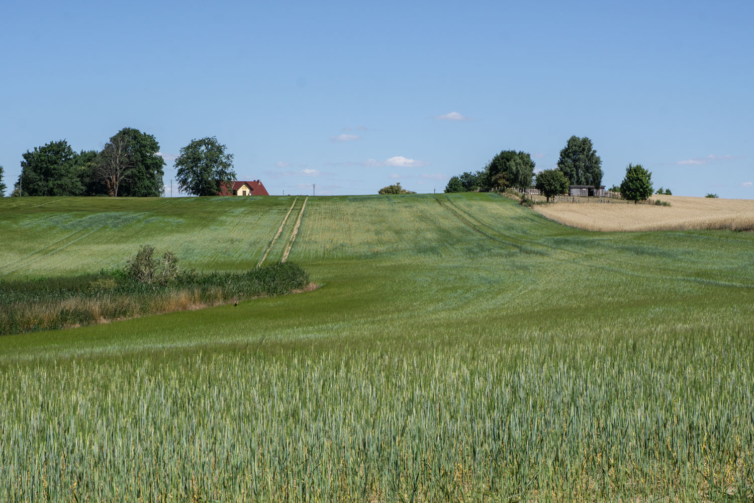 DIU_Uckermark_Feld-Gruen-Haus_DSC5408