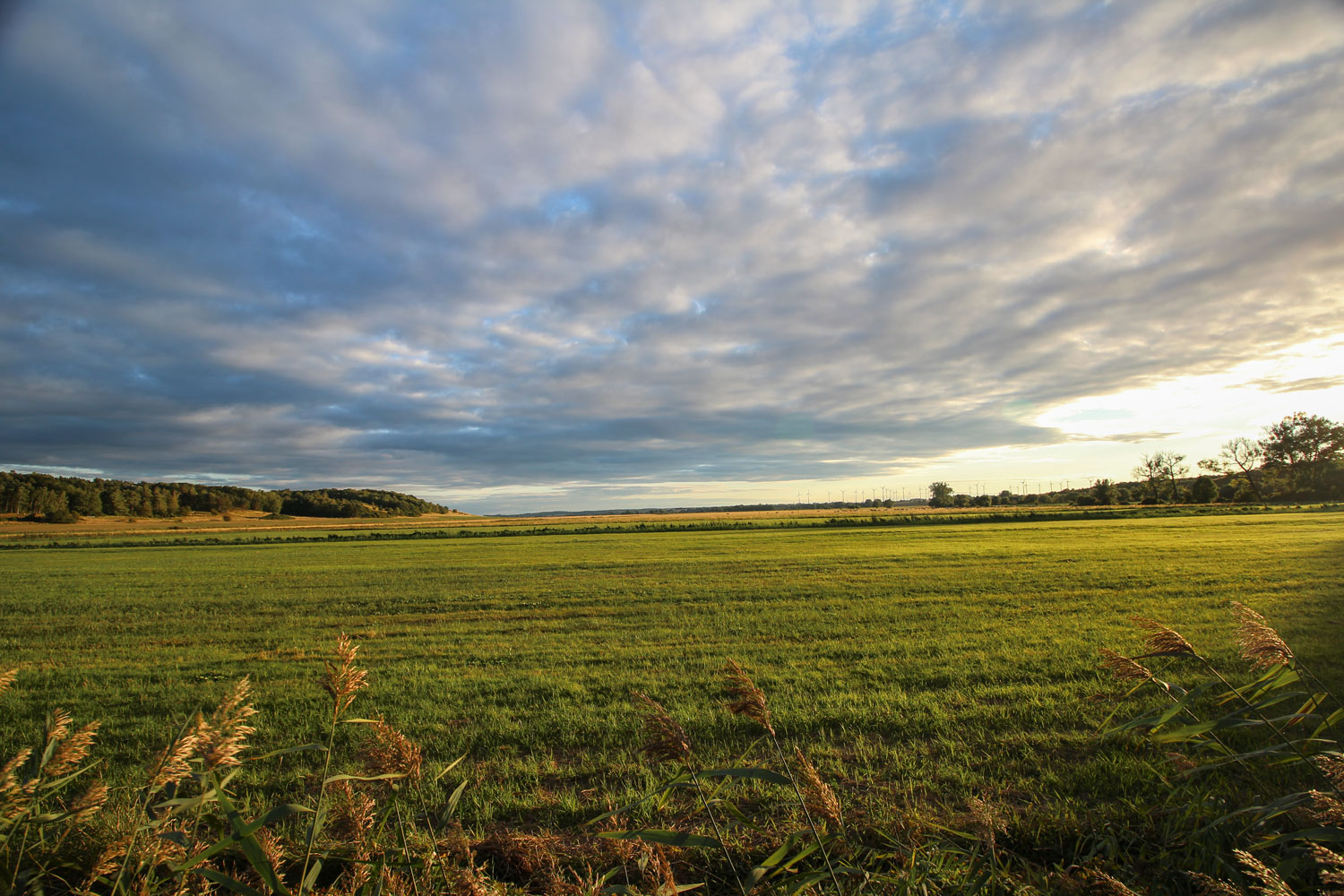 DIU_Uckermark_Feld-Sonnenuntergang_IMG_5698