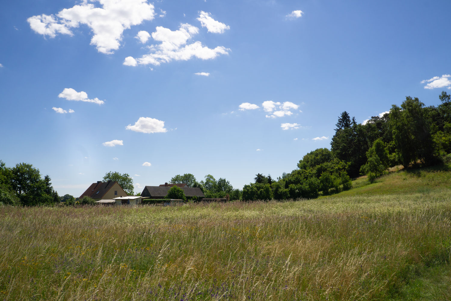 DIU_Uckermark_WieseHausHuegel_DSC5428