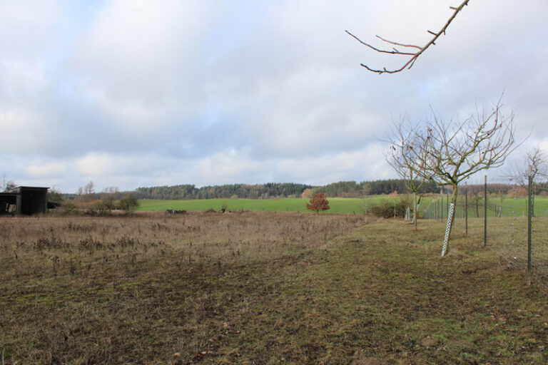 Immobilien-Uckermark_Bewertung_Grundstueck