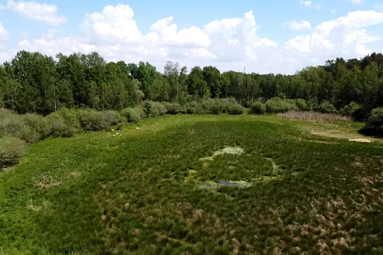 Immobilien-Uckermark_Bewertung_Grundstueck2