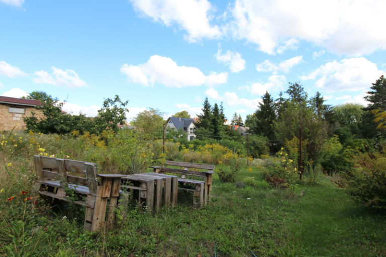 Immobilien-Uckermark_Gerswalde_Wohnhaus-mit-Garten_Blick-auf-Gartenbank