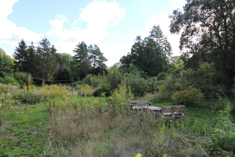 Immobilien-Uckermark_Gerswalde_Wohnhaus-mit-Garten_Blick-in-den-wilden-Garten