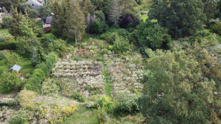 Immobilien-Uckermark_Gerswalde_Wohnhaus-mit-Garten_Luftbild2