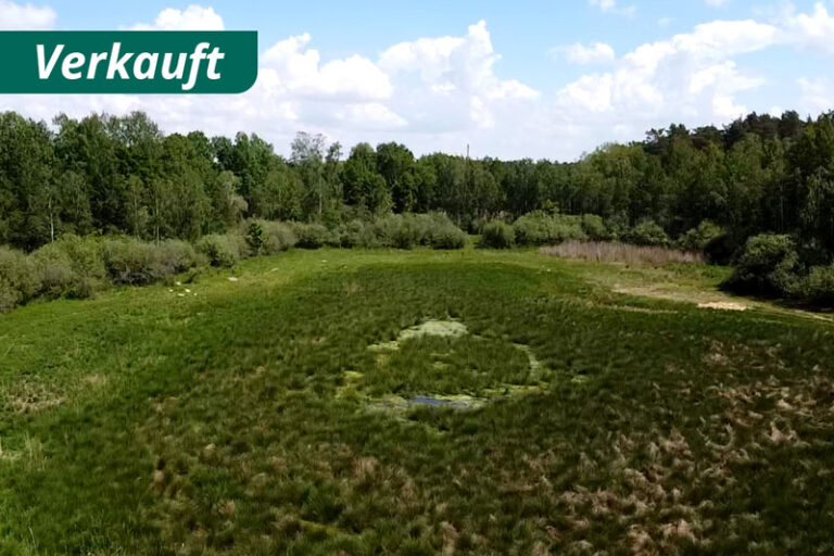 Waldgrundstück bei Boitzenburg